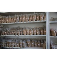 內蒙古小麥全系列樣品間