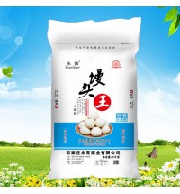 永青四號饅頭王