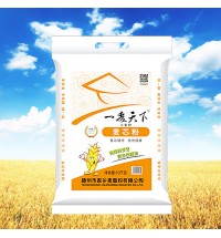 一麥天下牌麥芯粉10公斤裝