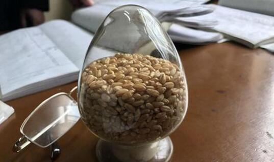 QQ截圖20191115150732