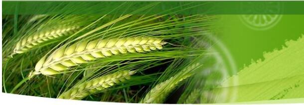 QQ截圖20191115153544