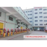 廣西月神全谷物食品有限公司項目