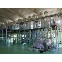 大麥加工成套解決方案