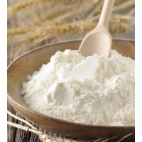 求購進口面粉，灰分0.8-1.5，用量300噸一天