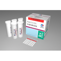 嘔吐毒素檢測試紙條