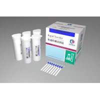 玉米赤霉烯酮檢測試紙條