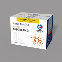 黃曲霉毒素ELISA試劑盒