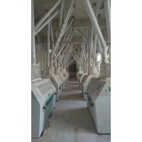 出售250噸面粉機(jī)設(shè)備，含整套配粉倉，成色新，價格優(yōu)，整套分拆都可以