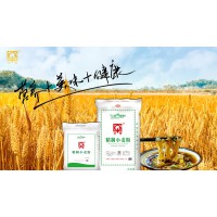 精制小麥粉10kg