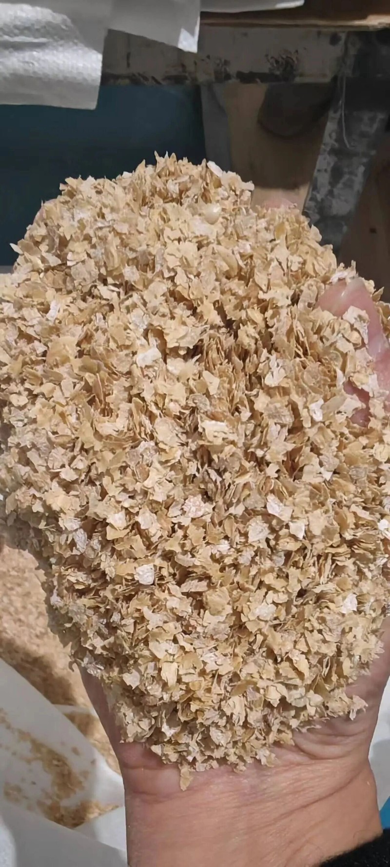 微信圖片_2026-04-10_174443_815